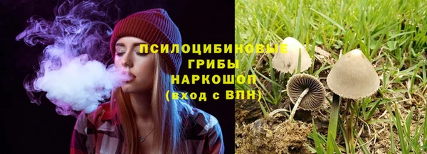 метадон Арсеньев