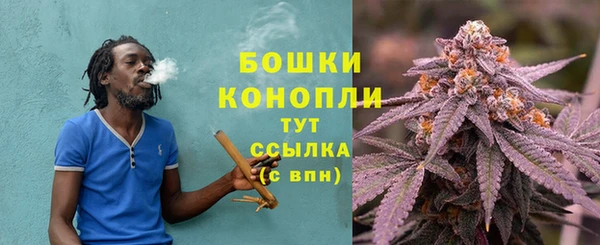 прущие грибы Армянск