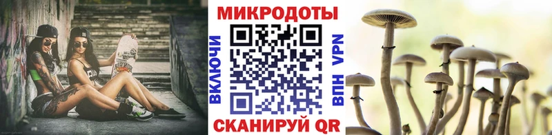 даркнет как зайти  купить  цена  Мураши  Галлюциногенные грибы мухоморы 
